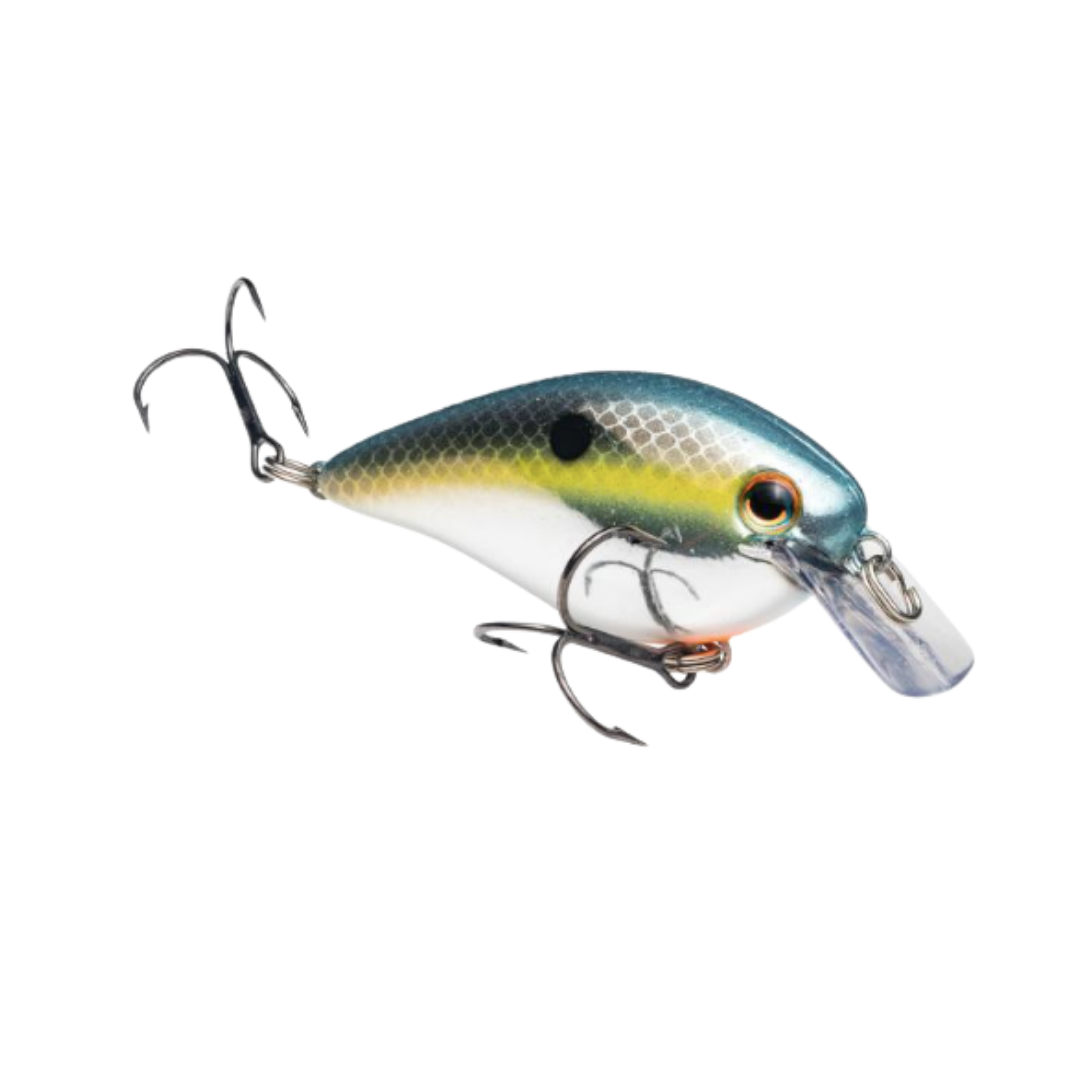 Strike King, Strike King KVD 2.5 Squarebill